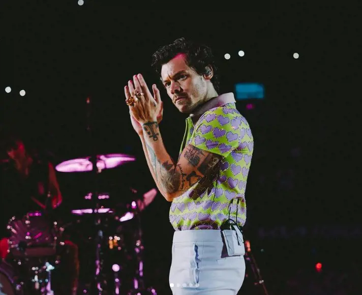 Harry Clapping On His Love On Tour Concert On 17 November 2022