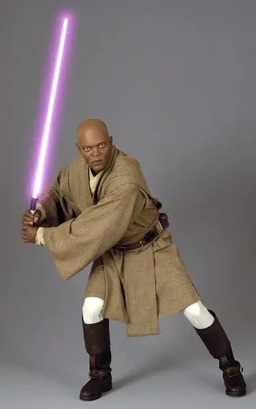 Mace Windu is the member of the Jedi High Council